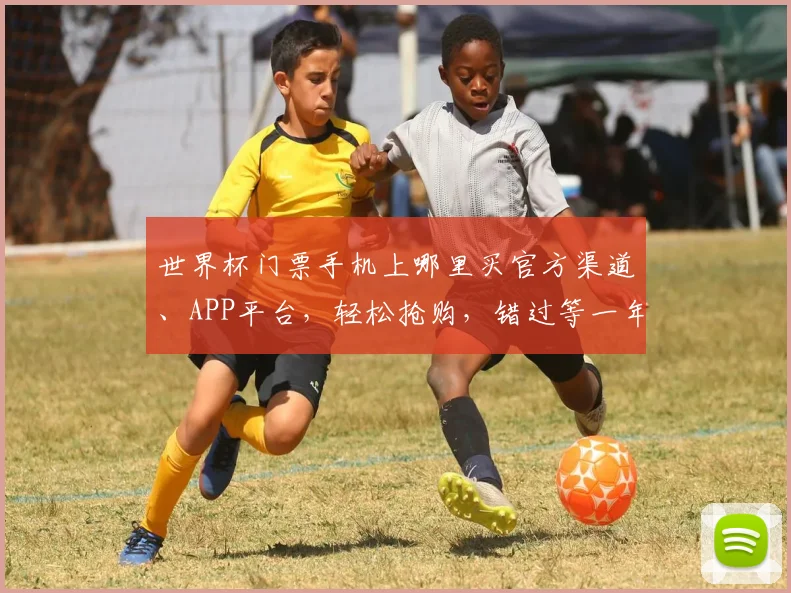 世界杯门票手机上哪里买官方渠道、APP平台，轻松抢购，错过等一年