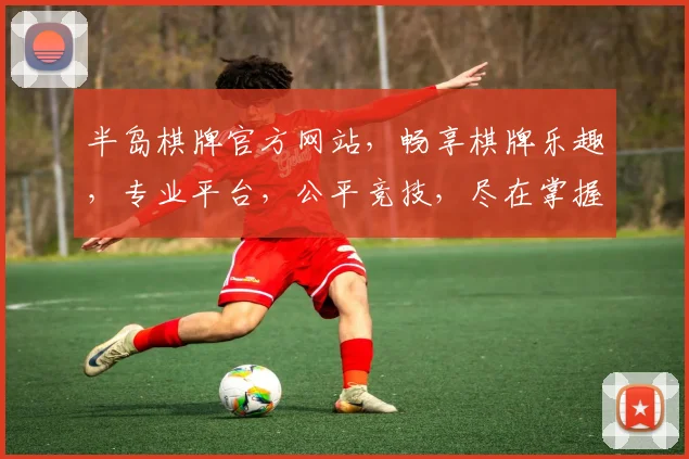 半岛棋牌官方网站，畅享棋牌乐趣，专业平台，公平竞技，尽在掌握，邀您共赴欢乐之旅